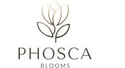 Phosca Lamps - Home